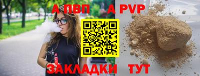 PSILOCYBIN Можга