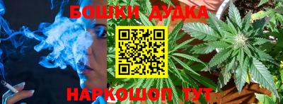 индика Моздок