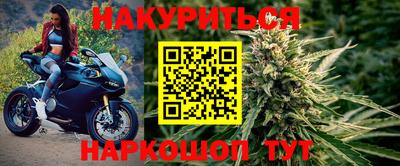 индика Моздок