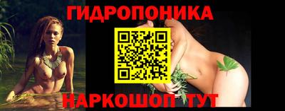PSILOCYBIN Можга