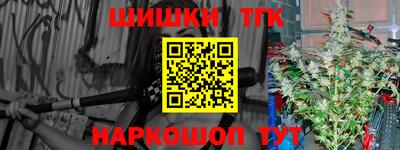 индика Моздок