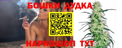 индика Моздок