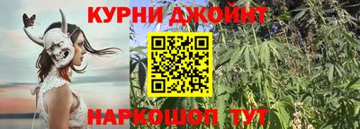 PSILOCYBIN Можга
