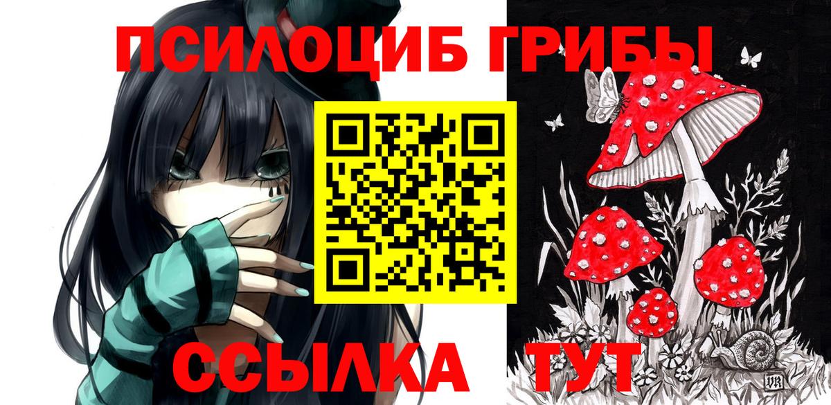 Галлюциногенные грибы Psilocybe  Вход с VPN  Тимашёвск  Галлюциногенные грибы прущие грибы 
