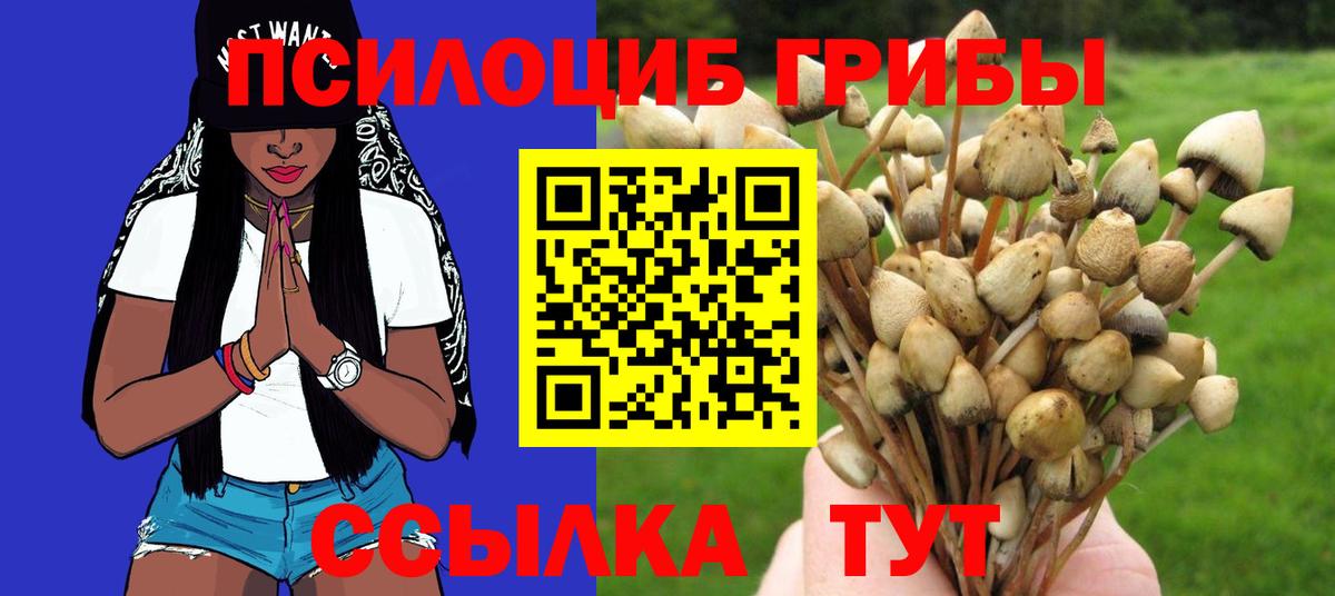 Галлюциногенные грибы MAGIC MUSHROOMS Тимашёвск